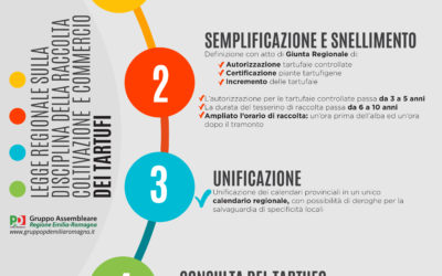 DISCIPLINA DELLA RACCOLTA, COLTIVAZIONE E COMMERCIO DEI TARTUFI