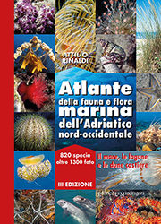 Atlante della fauna e flora marina dell’Adriatico nord-occidentale