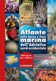Atlante della fauna e flora marina dell’Adriatico nord-occidentale