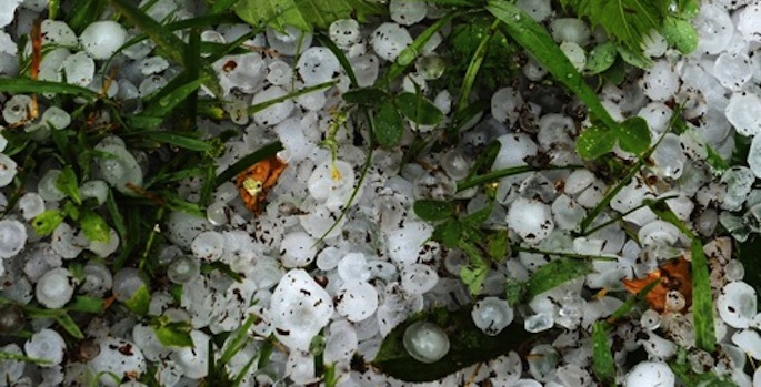 Maltempo. Il PD chiede lo stato di calamità naturale per gli agricoltori colpiti dalla grandinata