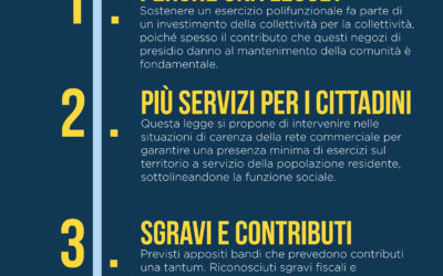 Disciplina del commercio e valorizzazione delle imprese minori