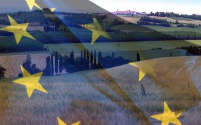 Politiche Agricole Europee. Bessi e Caliandro (PD): “No al calo ingiustificato delle risorse per l’Italia, la Regione al fianco degli agricoltori”
